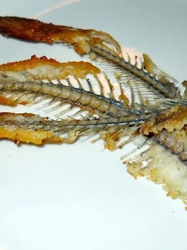 মাছের কাঁটা চিবিয়ে খেয়ে ফেললে এসব হয় শরীরে, জানুন