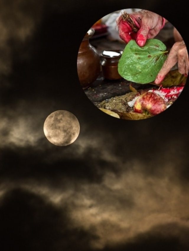 वैशाख अमावस्या पर करें ये खास उपाय, दूर होगा पितृ दोष और बढ़ेगी धन-संपत्ति