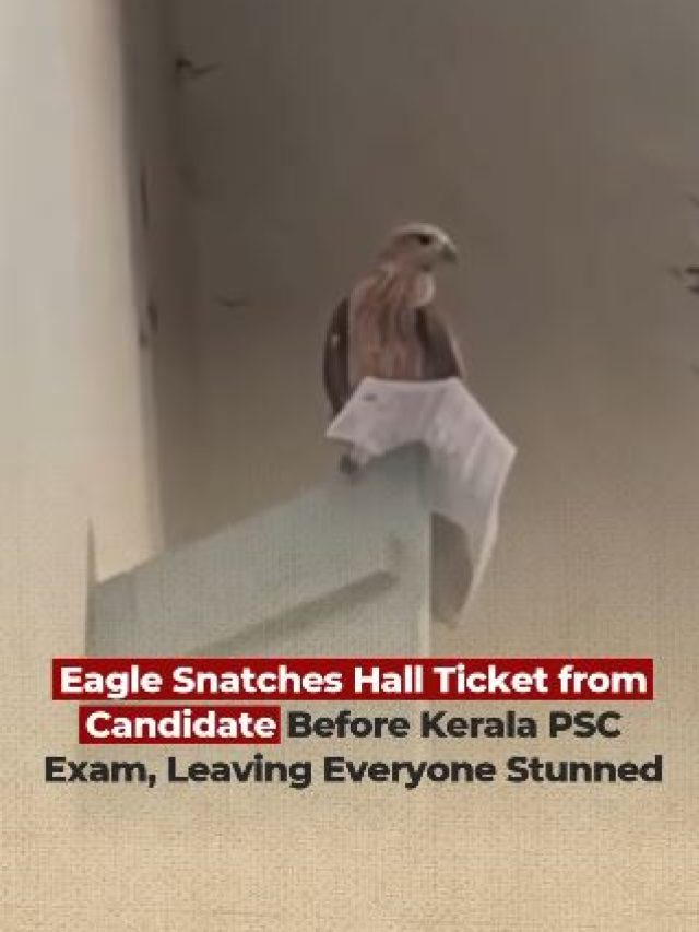 सेंटर में घुस रहा था छात्र, हॉल टिकट लेकर उड़ गई चील, वीडियो वायरल