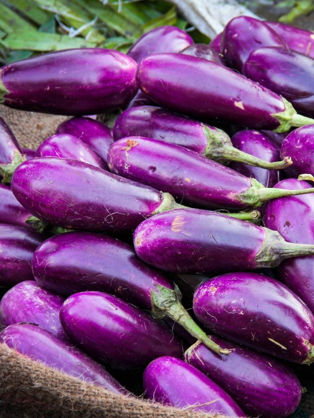 পোড়া-ভাজা-ভর্তা কিছুই না, সপ্তাহের এদিন বেগুন খেলে ঘোর অমঙ্গল