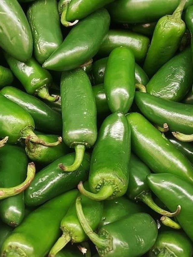 লঙ্কার এই অংশেই আসলে থাকে ঝাল, অনেকেরই অজানা