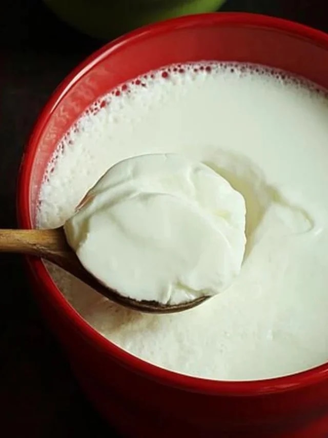 এসব দইয়ের সঙ্গে ভুলেও খাবেন না! খাওয়া বিষের সমান