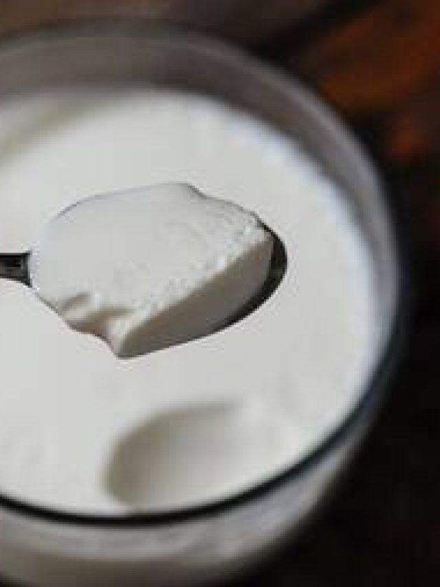 গরমে দই খাওয়ার সঠিক সময় কী? ৯৯% মানুষ জানে না