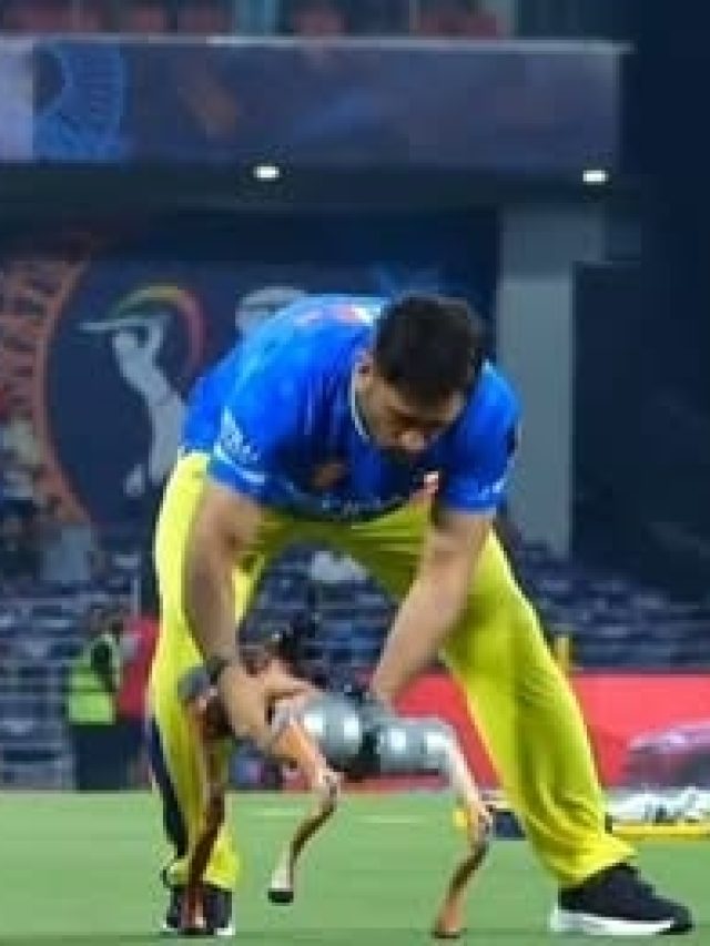 IPL के हर मैच में मैदान में आता है ये 'जानवर', धोनी ने देखते ही लिटा दिया