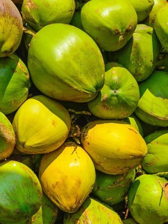 কোন ডাবে জল বেশি? বাইরে থেকে দেখে এভাবে বুঝুন