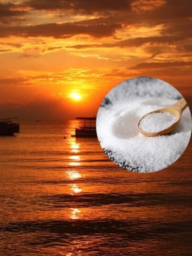 सूर्यास्त के बाद घर में रखीं ये 5 चीजें किसी को न दें, रूठ जाएंगी मां लक्ष्मी