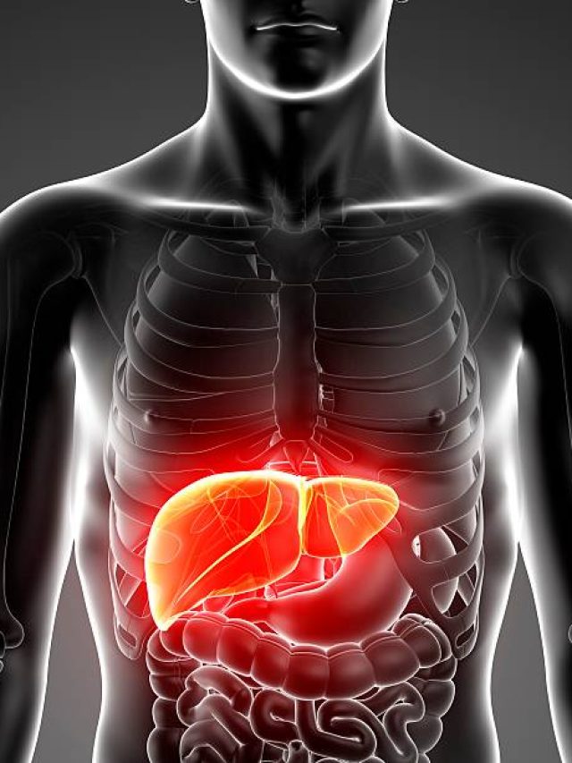 फैटी लिवर के दुश्मन हैं ये 4 टेस्टी फूड्स, हार्वर्ड डॉक्टर ने किया खुलासा