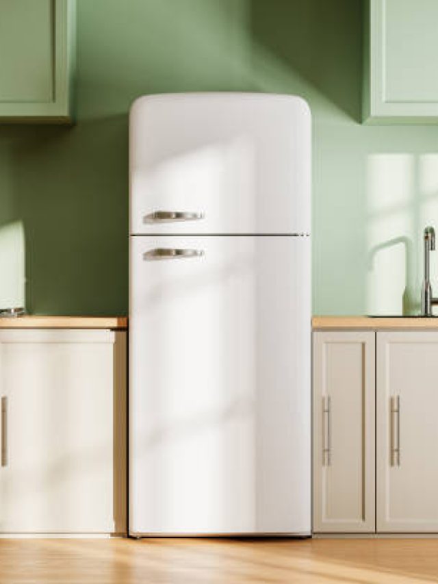 ফ্রিজে এই ৪ জিনিস রাখবেন না, রাতারাতি অভাব চলে আসবে