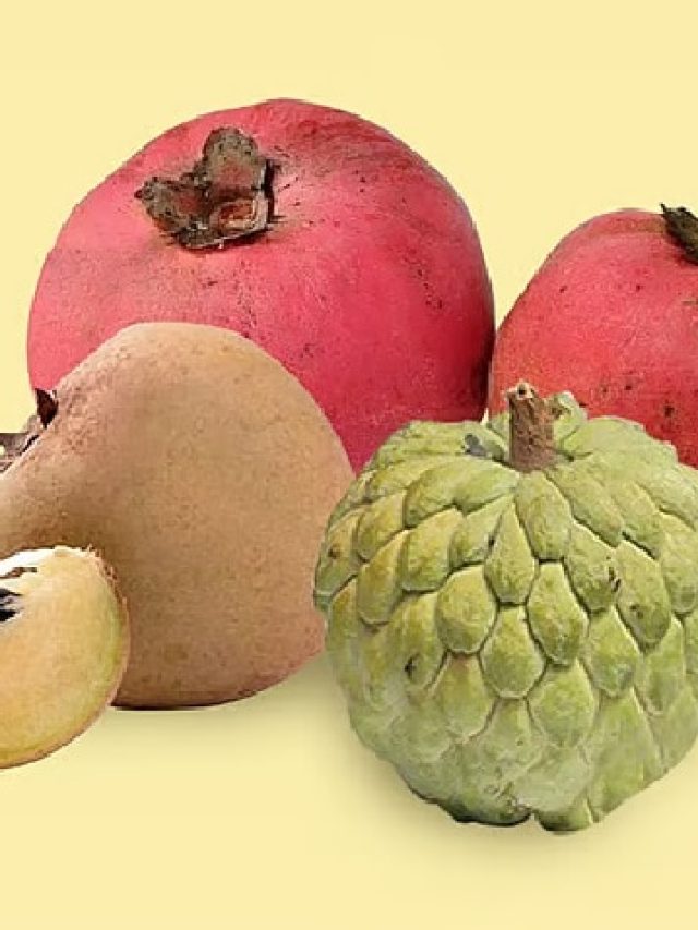 বাজারে সবসময় মেলে না গ্রামবাংলার এই ৩ ফল, বিরাট উপকার!