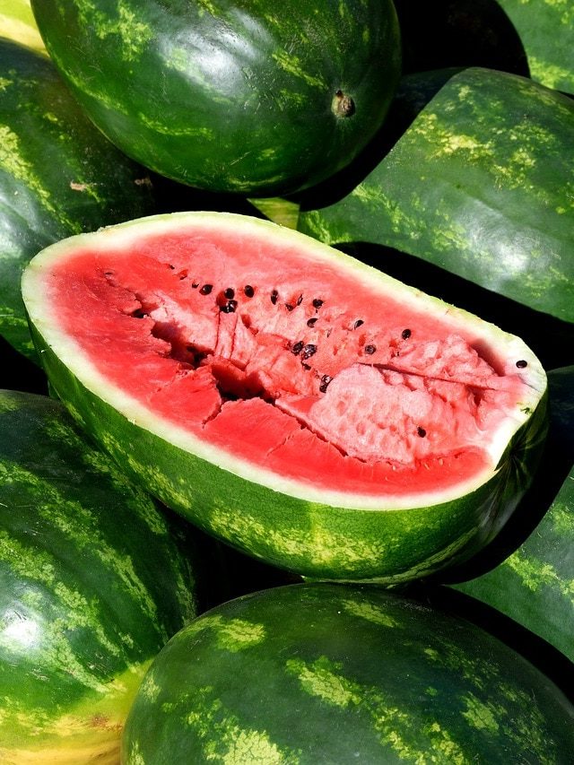 না কেটেই মিষ্টি তরমুজ চেনার ৭ ট্রিকস, বাজারে গিয়ে আর ঠকবেন না