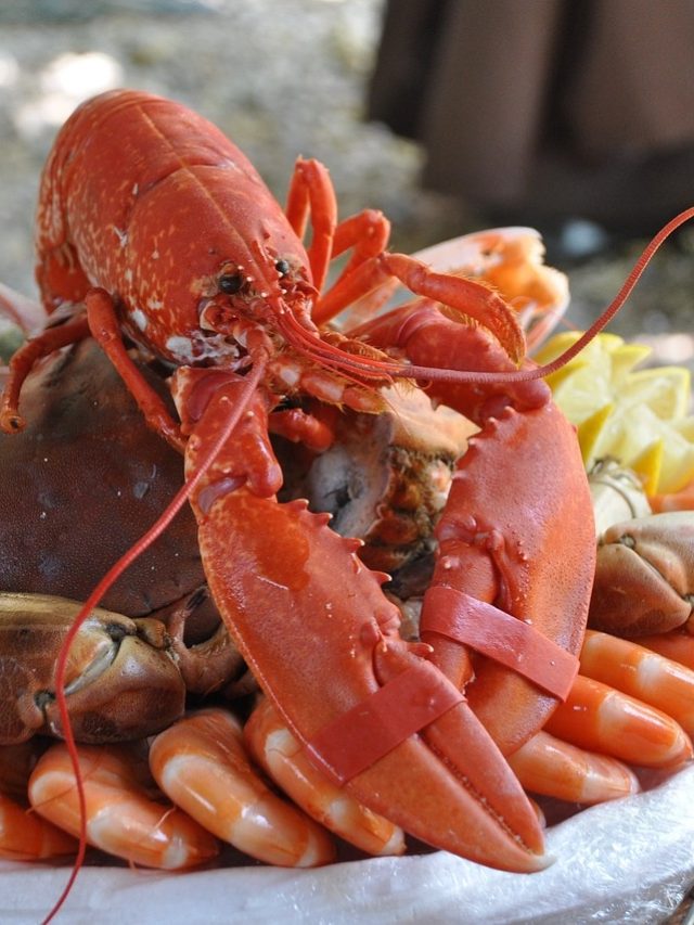 कैसे झींगा बना है अमेरिका और कनाडा के बीच तनातनी की वजह?