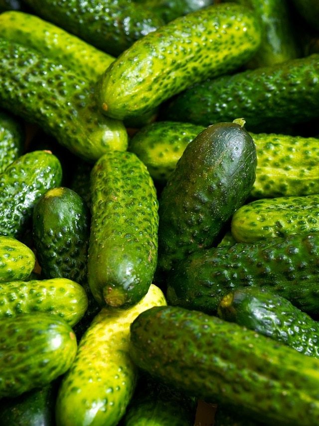 क्या आप भी रात में खाते हैं खीरा? झेलनी पड़ सकती हैं ये मुसीबतें