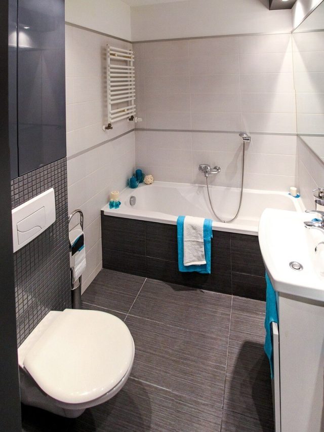 বাথরুমে এই ৫ জিনিস রাখবেন না, দুর্ভাগ্য  নিয়ে আসে