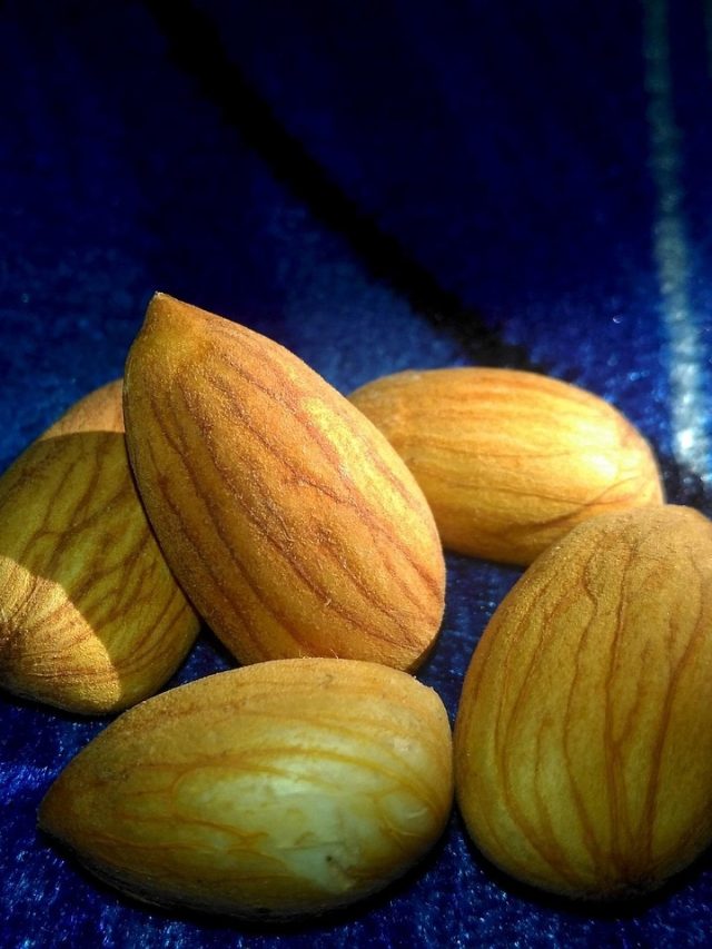 खाने लायक नहीं रह गया है बादाम? इन ट्रिक्स से पहचानें खराब हो चुका है या नहीं