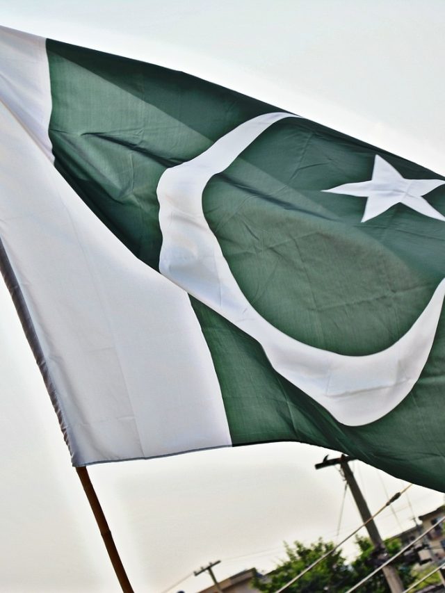 जानिए पाकिस्तान से क्या-क्या खरीदता है भारत