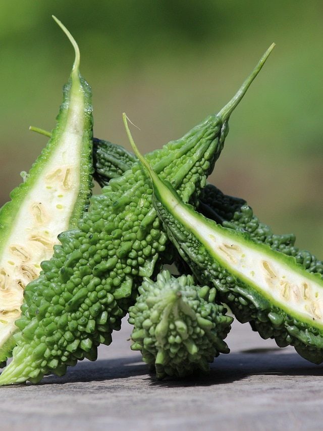 इन लोगों को नहीं खाना चाहिए करेला, सेहत को हो सकता है नुकसान