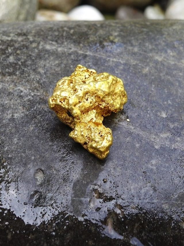 किन किन इलेक्ट्रॉनिक सामान में होता है सोना? आपके घर में भी होंगे