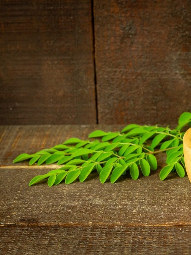 बॉडी में विटामिन बी12 की कमी पूरा करती हैं ये पत्तियां, वजन भी घटाने में करता है मदद