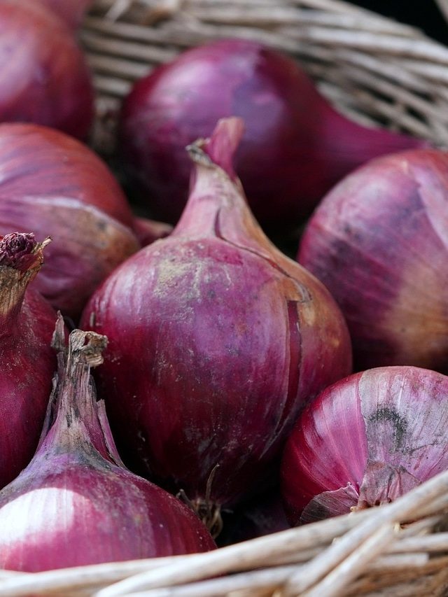 গ্রীষ্মে প্রতিদিন খান  ১টা কাঁচা পেঁয়াজ, শরীরে এই বদল ঘটবেই