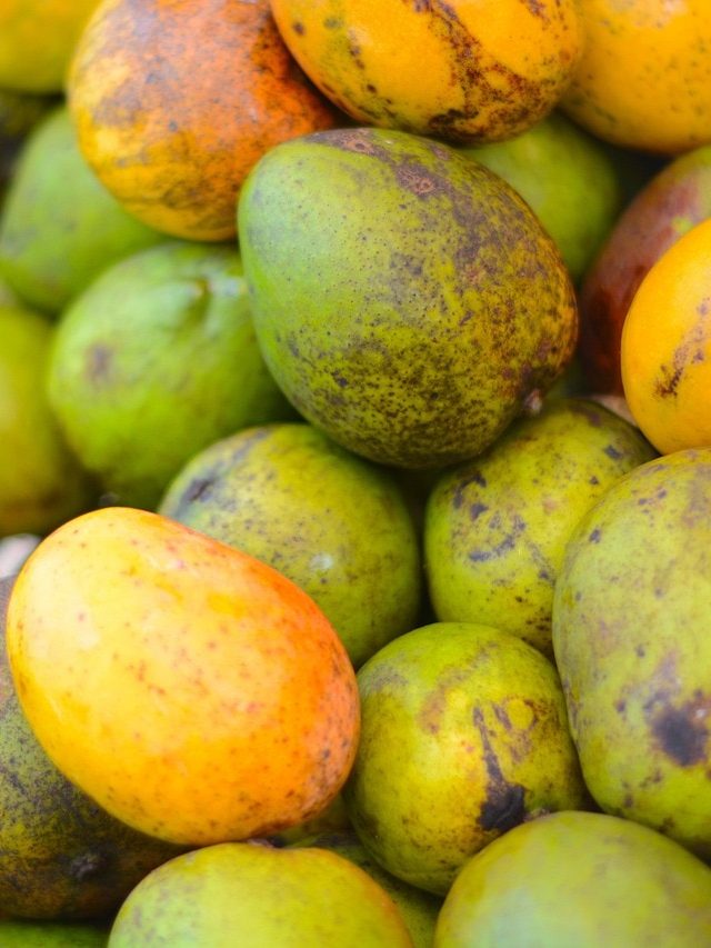 ডায়াবিটিস রোগীরা দিনে কতটা আম খেতে পারবেন? জানালেন পুষ্টিবিদ