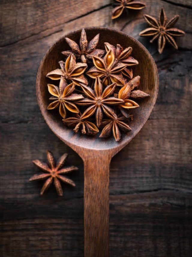স্টার অ্যানিস, এই মশলাটি কোন গাছের থেকে পাওয়া যায় জানেন?