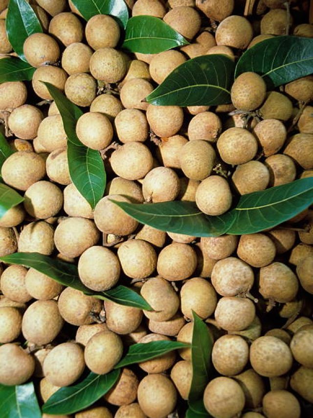 मुंह में मिश्री की तरह घुल जाता है ये छोटा सा भूरा फल, स्किन से झुर्रियां रखता है दूर