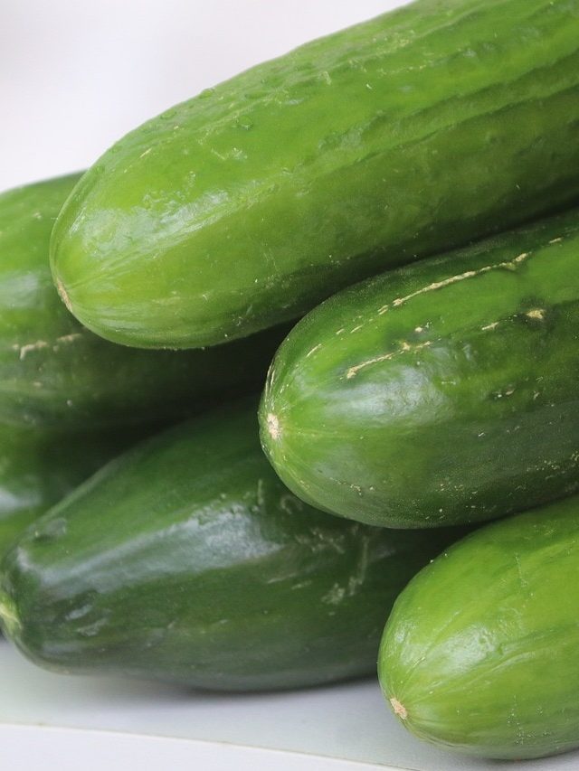 बिना खाए ही पता चल जाएगा खीरा कड़वा है कि नहीं? बस करने होंगे ये ट्रिक्स फॉलो