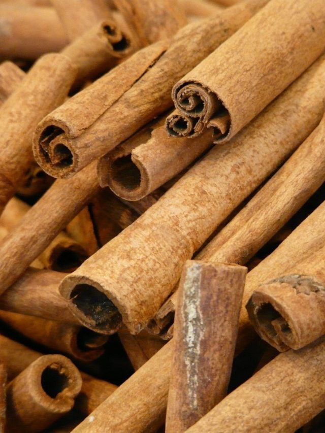 দারচিনি ভেবে অন্য গাছের ছাল কিনে ঠকছেন না তো? জানুন