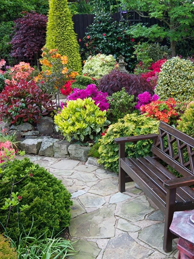 इन 6 तरीकों से गर्मी में करें पौधों की देखभाल, गार्डन में रहेगी हरियाली