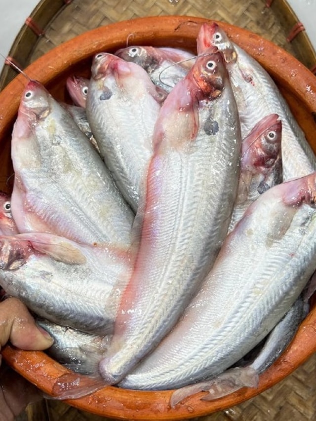 বাঙালির প্রিয় পাবদার ইংরাজি কী ? ৯৯% শিক্ষিতরাই জানেন না