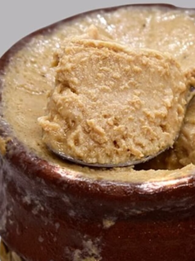 লাগবে মাত্র ১ ঘণ্টা, দোকানের মতো লাল দই বাড়িতেই হবে