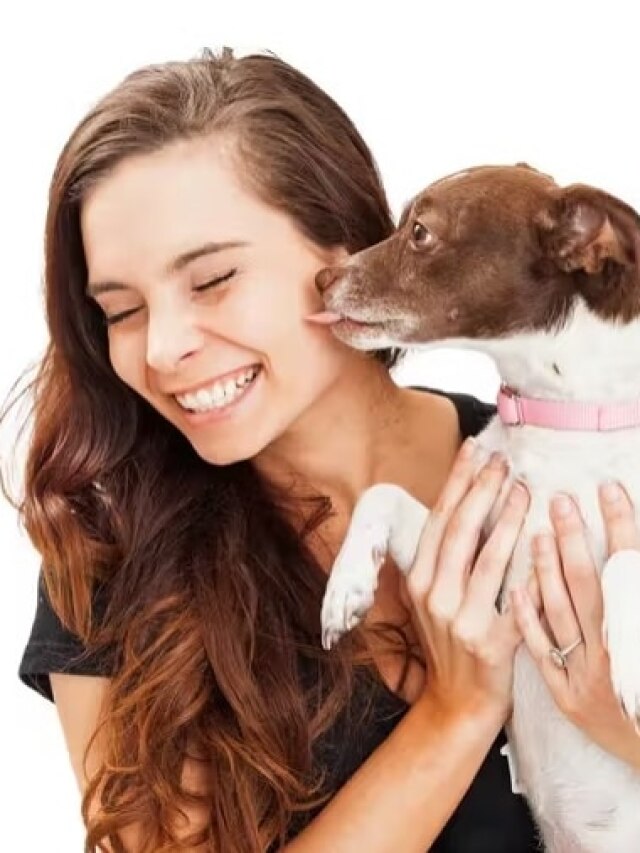 কুকুররা কেন মানুষকে চাটে? ৯৯% মানুষ ভুলটা জানেন