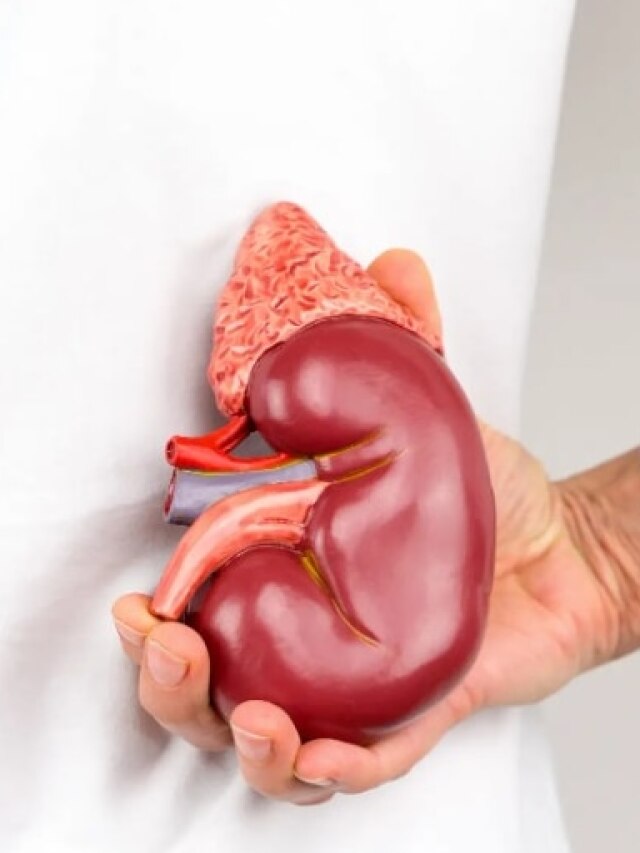 ১০০ বছর বাঁচবে কিডনি, ৫ খাবারই যকৃতের প্রকৃত বন্ধু