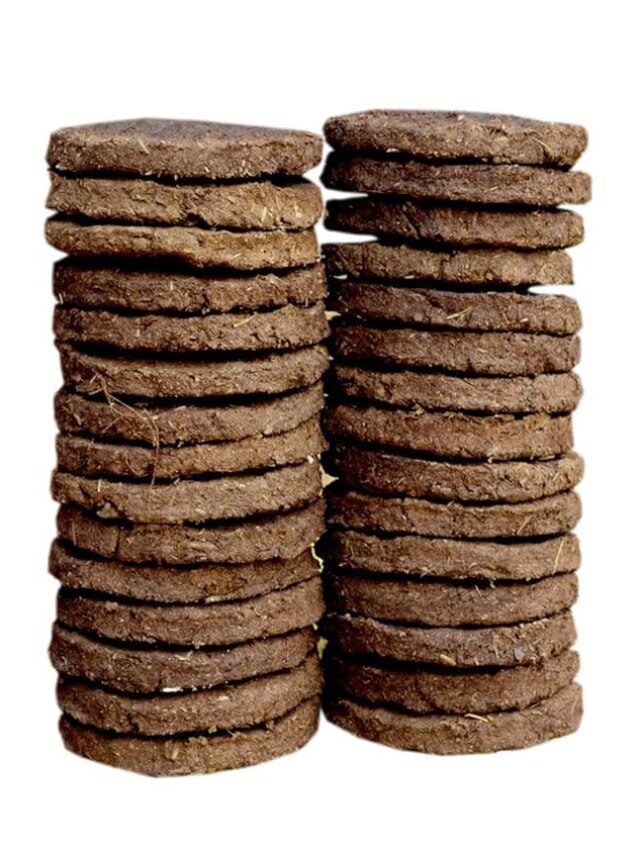 গোবর থেকে তৈরি হবে ফার্স্ট ক্লাস সার,  গাছপালার জন্য সেরা