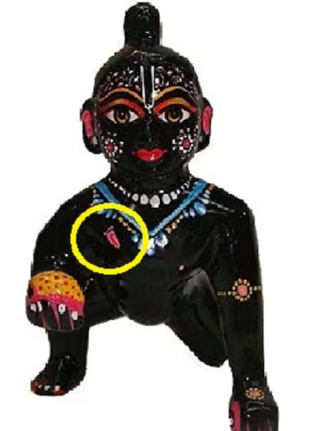 लड्डू गोपाल की सेवा में न करें ये गलती, जानिए भोग लगाने की सही विधि