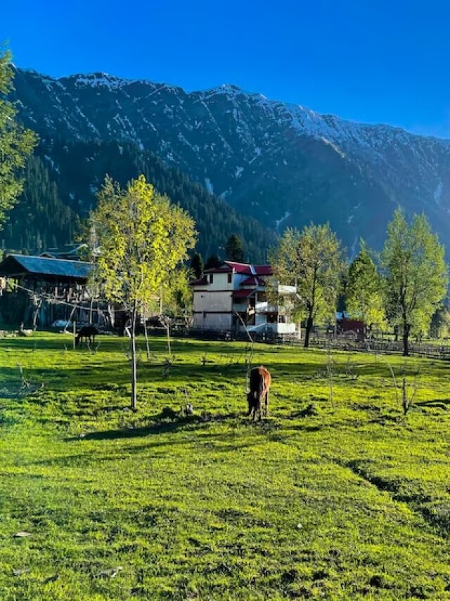 इन जगहों को कहा जाता है भारत का 'स्विट्जरलैंड', एक बार तो जरूर जाएं