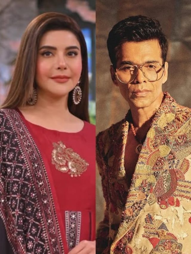 'वो पतला बूढ़ा', PAK एंकर ने करण जौहर का उड़ाया मजाक, वजन पर किया कमेंट