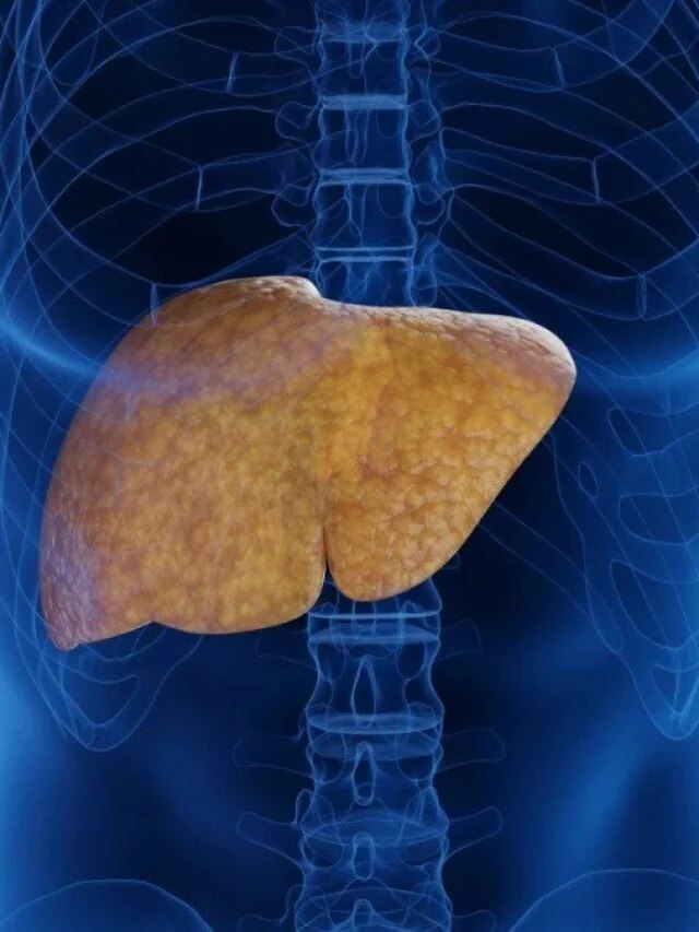 बुढ़ापे तक लिवर को हेल्दी रखते हैं ये फूड्स, आज ही डाइट में करें शामिल