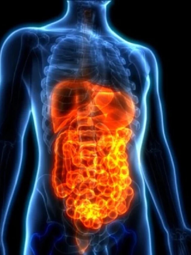 लिवर को रखना है हेल्दी, आज ही डाइट में शामिल कर लें ये 4 ड्रिंक