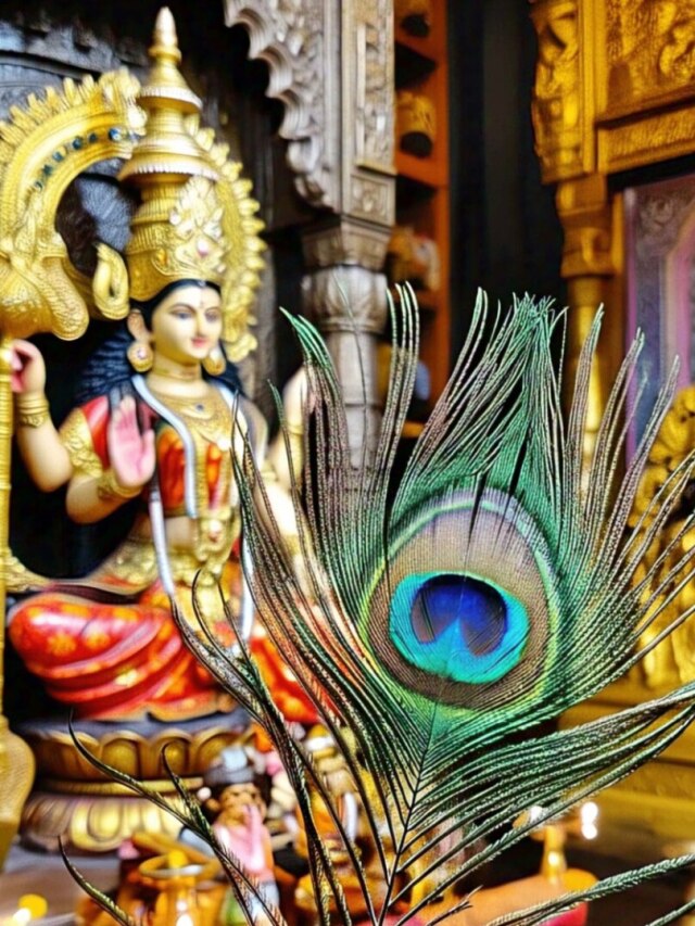 দারিদ্র থাকবে না, মা লক্ষ্মীর কৃপা পেতে ঘরের এই দিকে রাখুন ময়ূর পালক