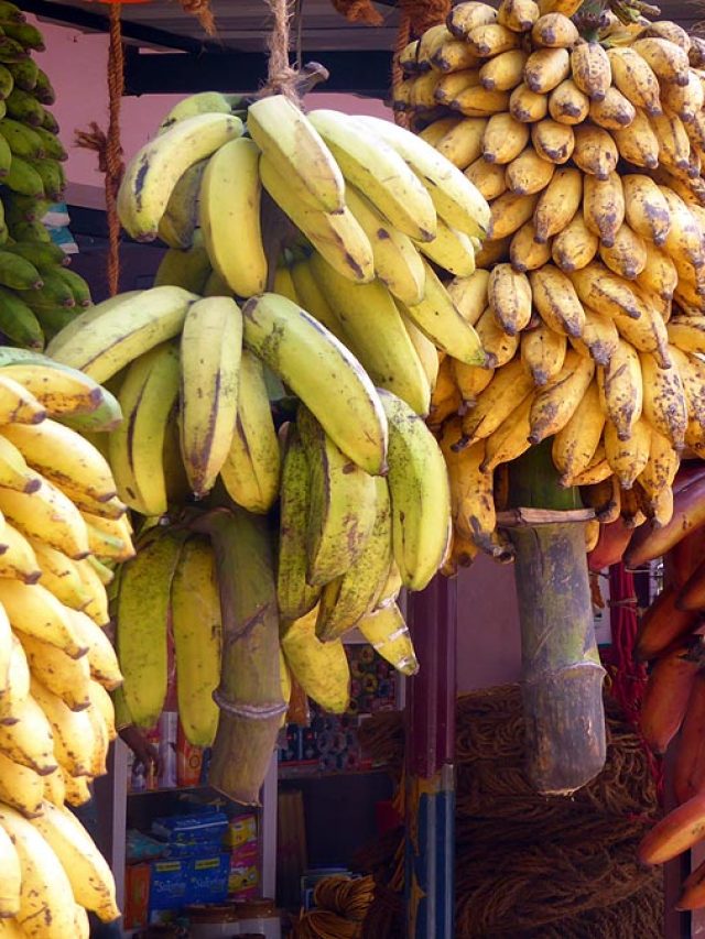 দোকানে কলা সবসময় ঝুলিয়ে কেন রাখা হয়? জানুন পিছনে কী কারণ