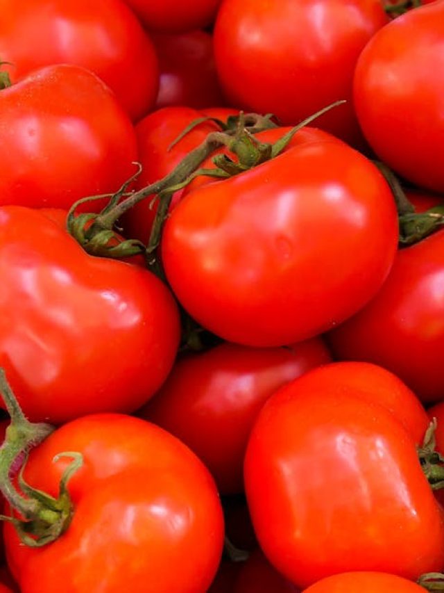 বাজারে বিক্রি হচ্ছে বিষে ভরা টমেটো, কীভাবে চিনবেন? জেনে নিন