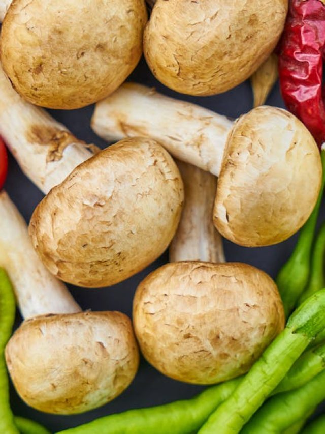 মাশরুম নিরামিষ নাকি আমিষ?  সঠিক জানেন না গ্যারান্টি