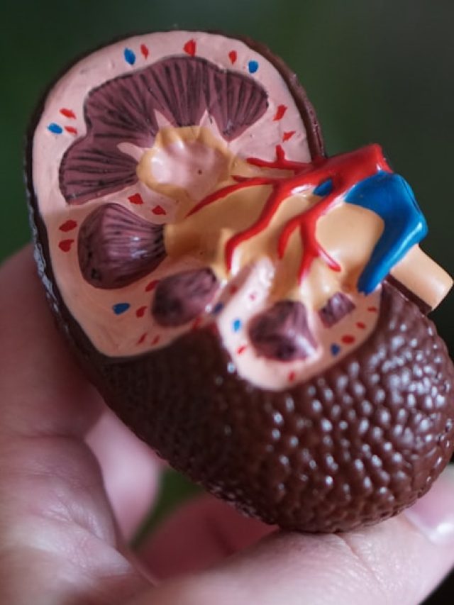 কিডনি ফেলের আগে এই ৫ লক্ষণ দেয়, সাবধান না হলেই বড় বিপদ!