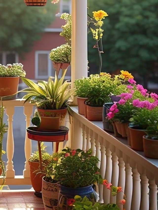 वास्तु टिप्स: घर में भूलकर भी न लगाएं ये पौधे, वरना हो सकता है बड़ा नुकसान