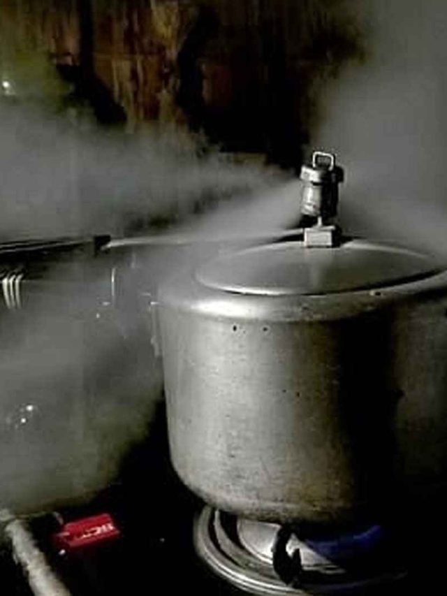 প্রেসার কুকারে এই ৬ রান্না নয়, বড় বিপদ ডেকে আনছেন