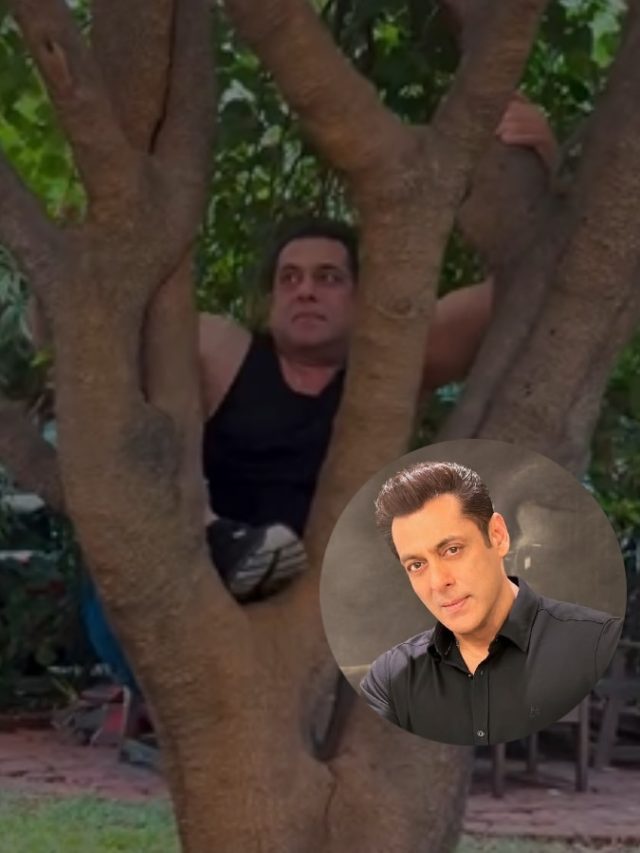 पेड़ पर चढ़े 59 साल के सलमान, 'सिकंदर' के फ्लॉप होने का नहीं गम, कर रहे च‍िल