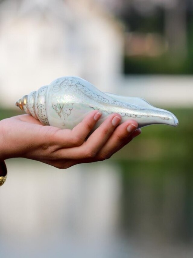 घर में रख लें ये शुभ चीजें, पैसों से भर जाएगी आपकी तिजोरी