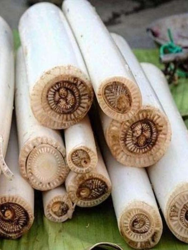 সবাই পারে না, কায়দা জানলে থোড় কাটা জলভাত