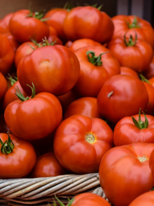 টমেটোর বাংলা কী? লুকিয়ে এক চেনা সবজির নাম